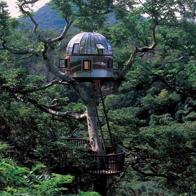 tree house modern