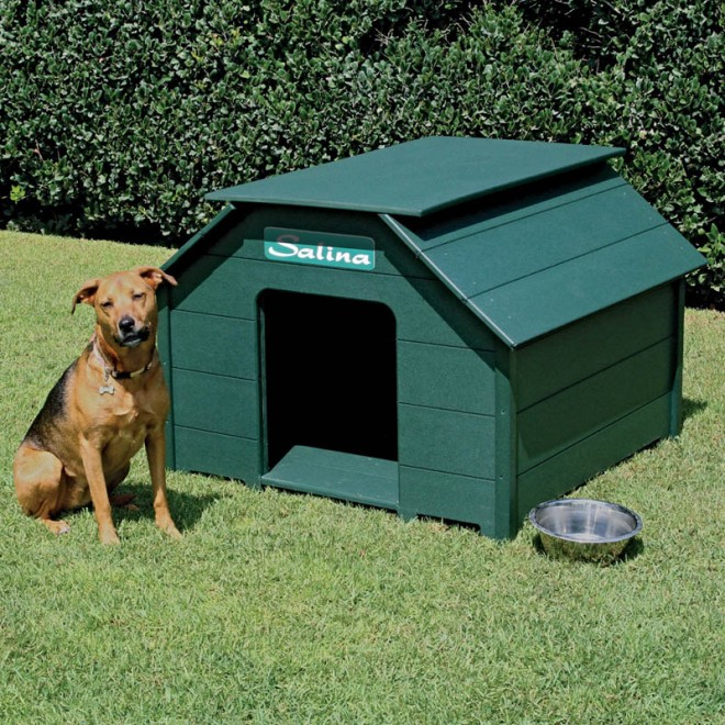 dog house plans green