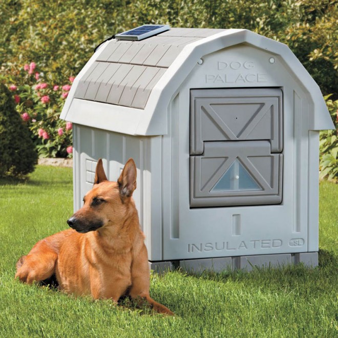 dog house plans insulated