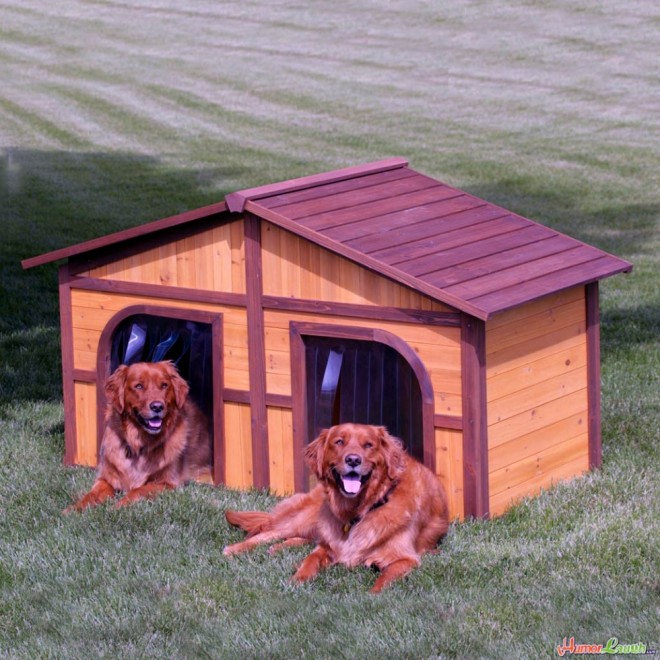 dog house plans twins