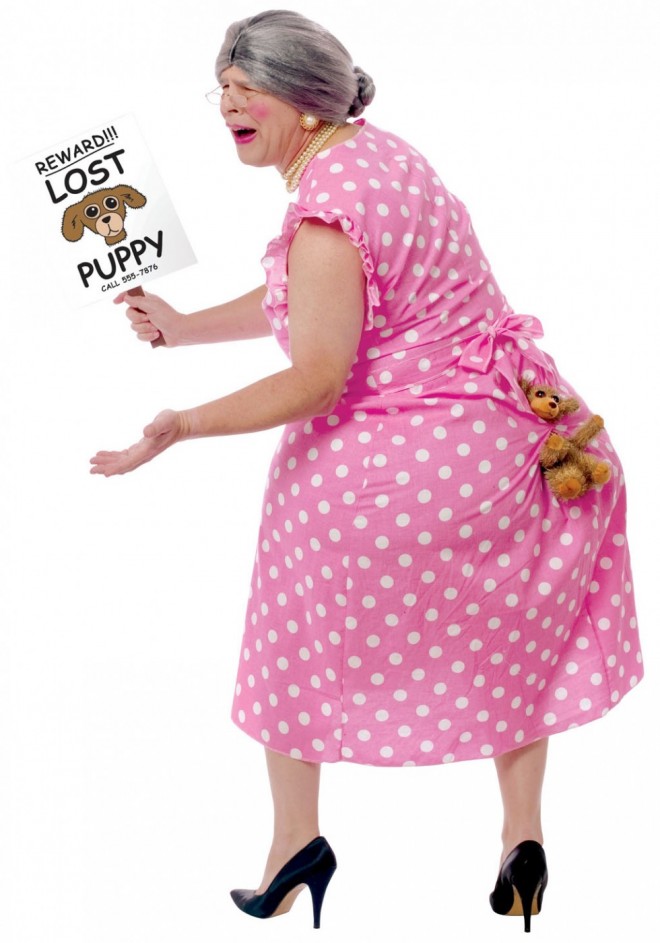 funny costumes lost dog
