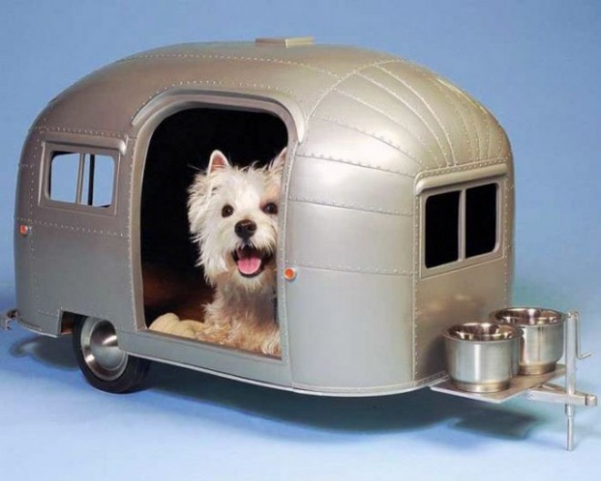funny gadgets dog house