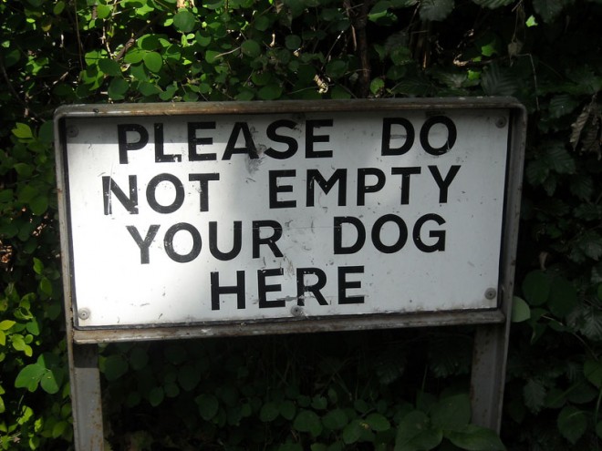 funny signs dog