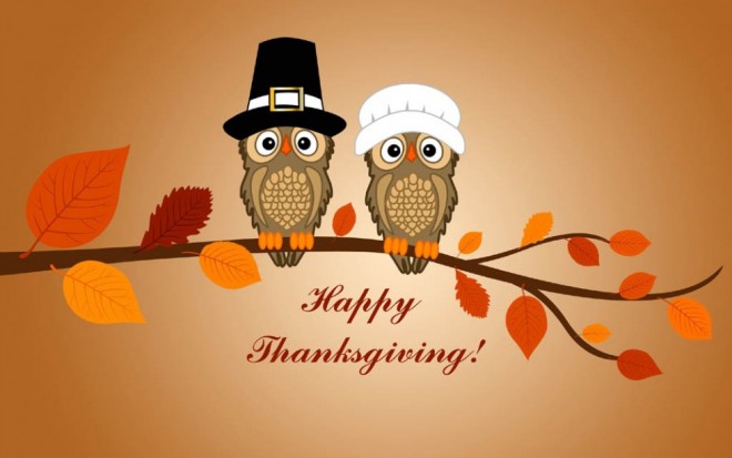 funny thanksgiving pictures owl