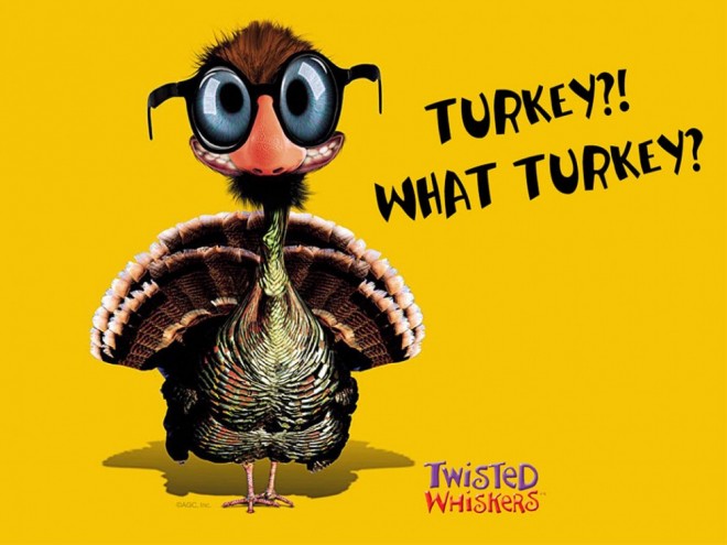 funny thanksgiving pictures turkey
