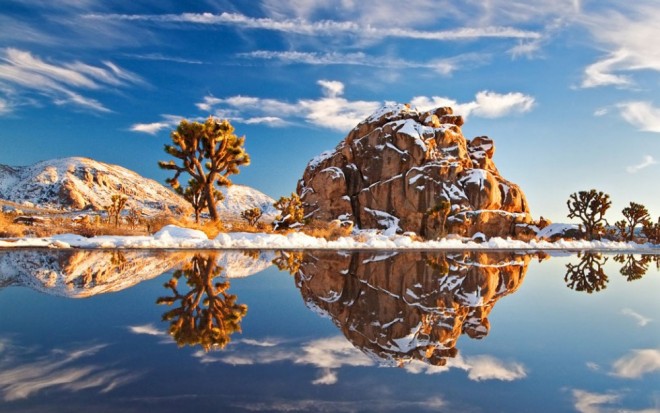 places to visit in california joshua tree national park 