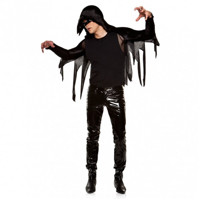 funny halloween costumes raven