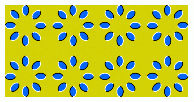 Optical Illusion Images Gif Funny (33)