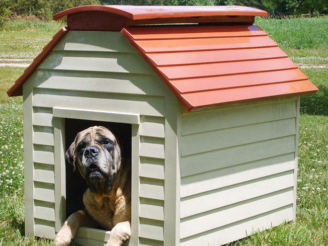 dog house plans compact