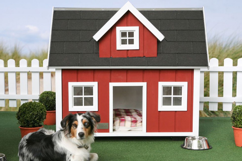 dog house plans red