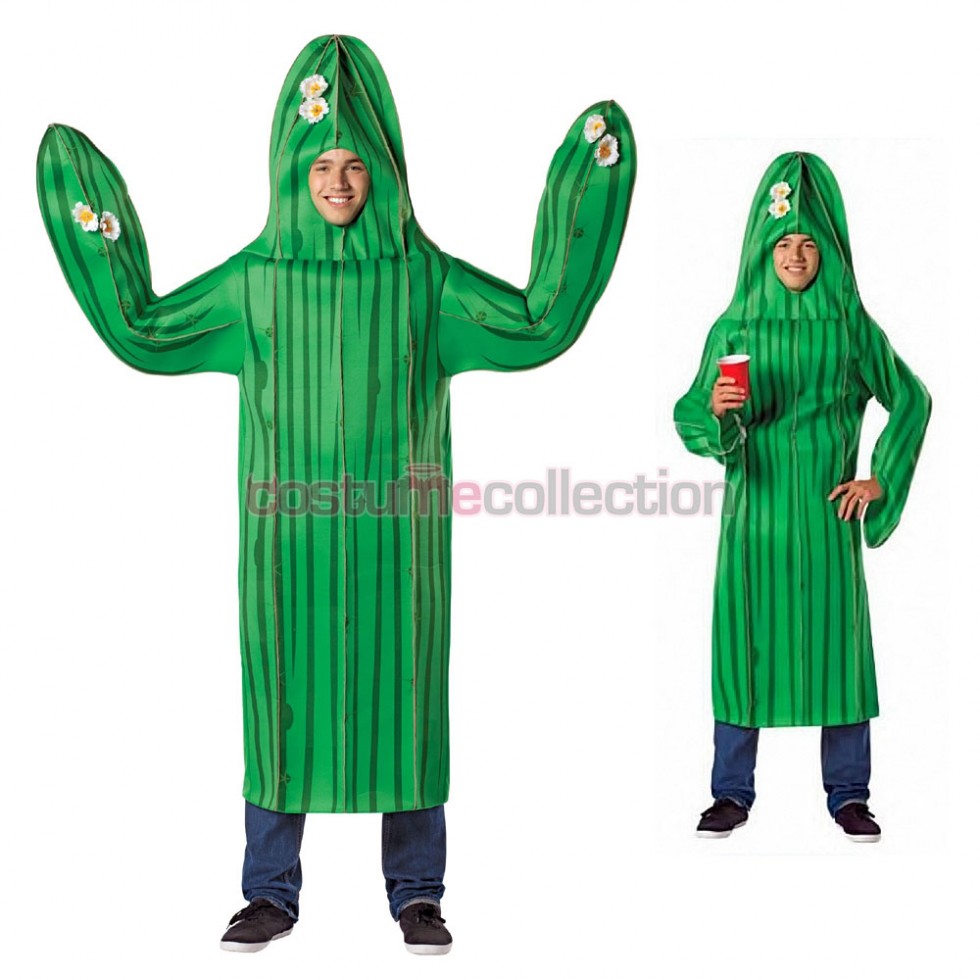 funny costumes cactus