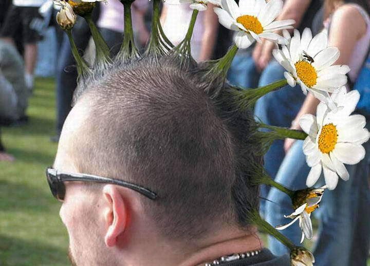 funny hairstyles flower