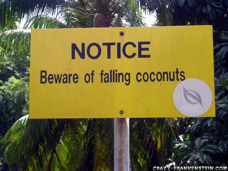 funny signs coconut