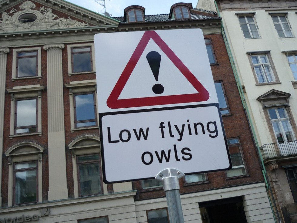 funny signs owl