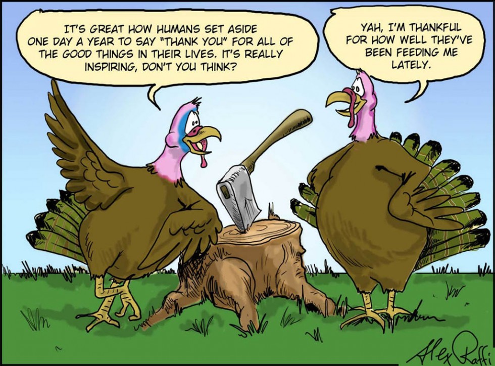 funny thanksgiving pictures turkey talk