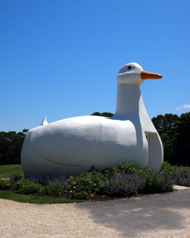 big duck novelty architecture
