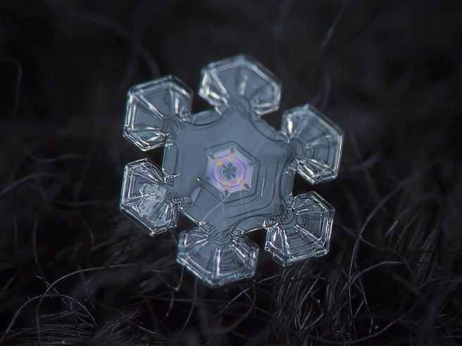 snowflake photo alexey kljatov