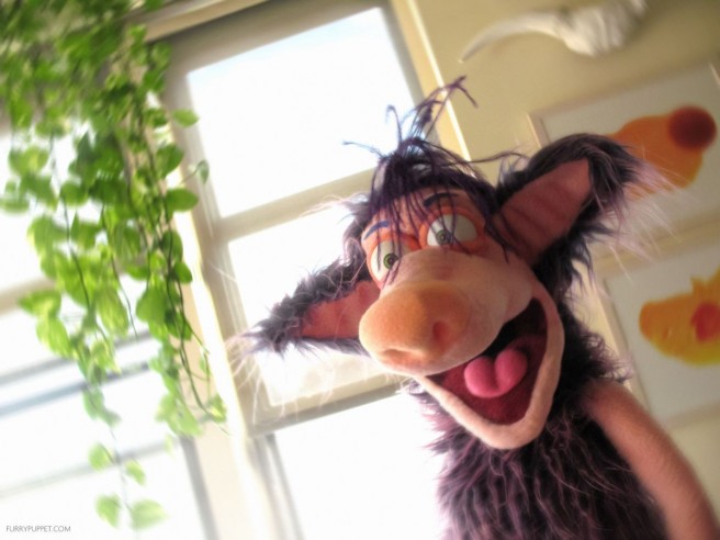 14 funny puppet character design furry puppet studio