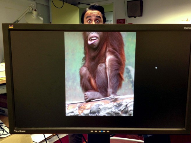 19 funny desk animal body picture mike whiteside