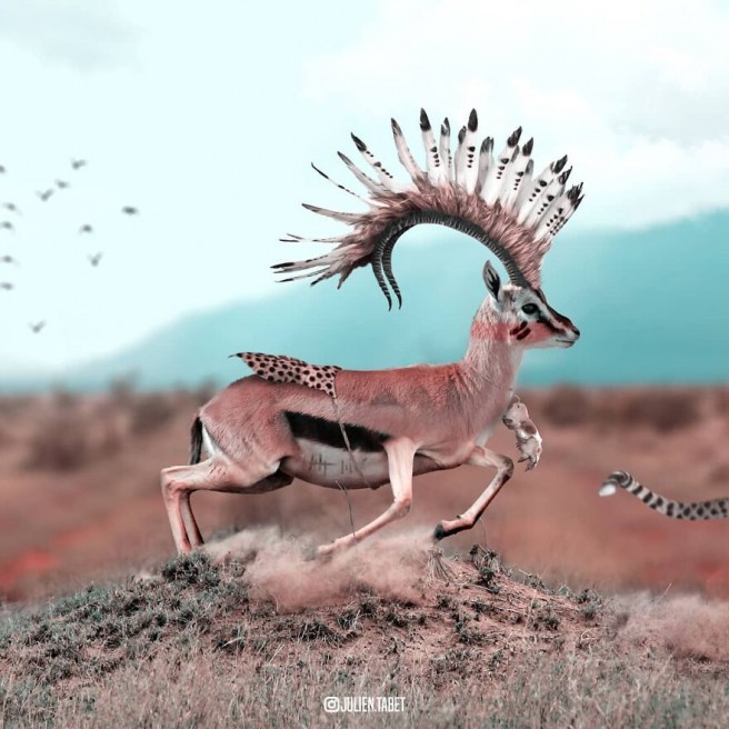 16 funny animal photoshop works deer julien tabet