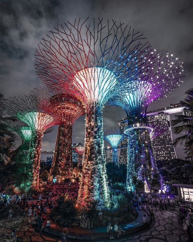 amazing picture architecture design light tree singapore
