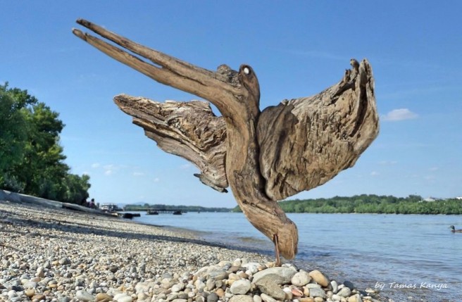 11 crazy sculpture driftwood tamas kanya