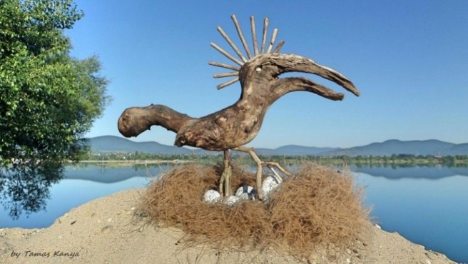 15 funny driftwood sculpture tamas kanya