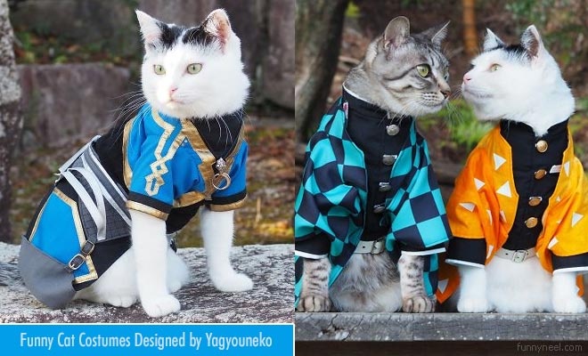 funny cat costumes