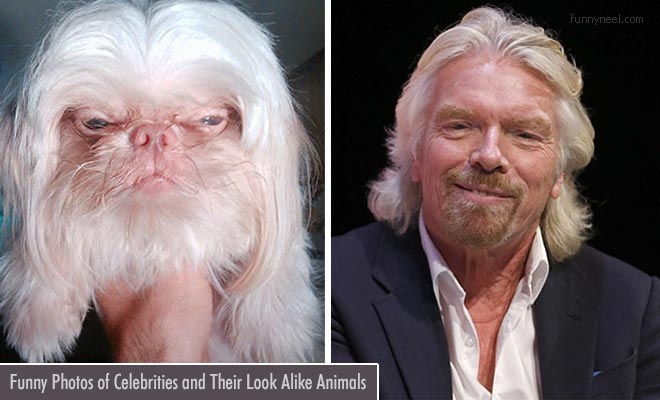 celebrity look alike animals
