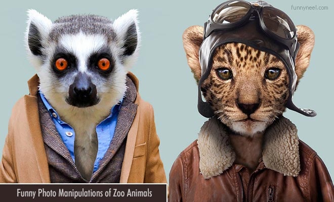 20 funny photo manipulations of zoo animals by photographer yago partal