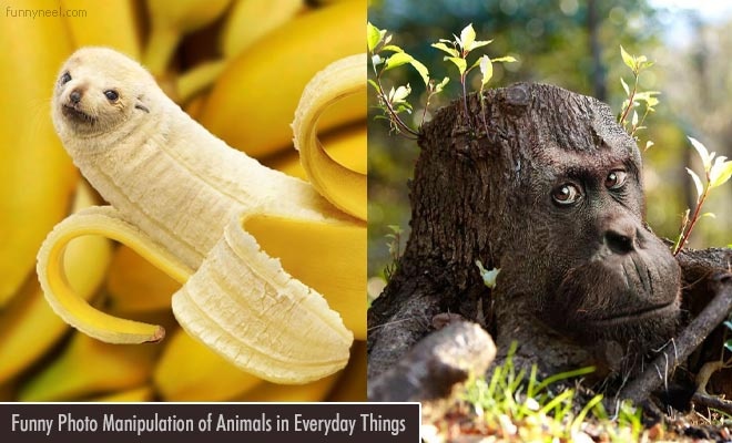 15 funny photo manipulation of animals in everyday things