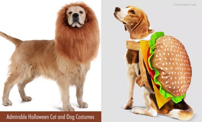 Funny Dog Costumes