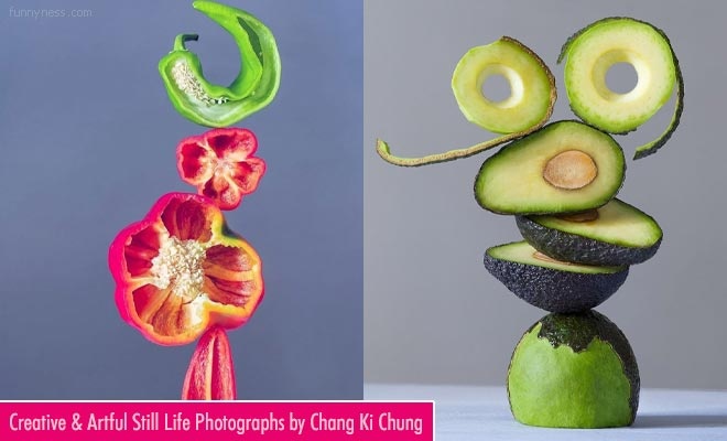 15 creative and artful still life photography works by chang ki chung