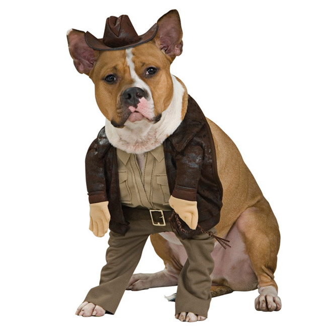 hat funny dog costume