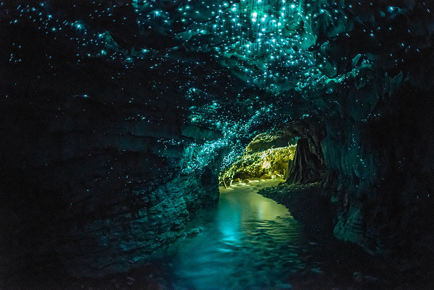 glow worm cave photography