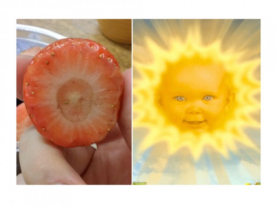 cut strawberry looks like the teletubbies sun baby funny similar things photography