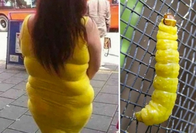 yellow dress and caterpillar similar funny photography