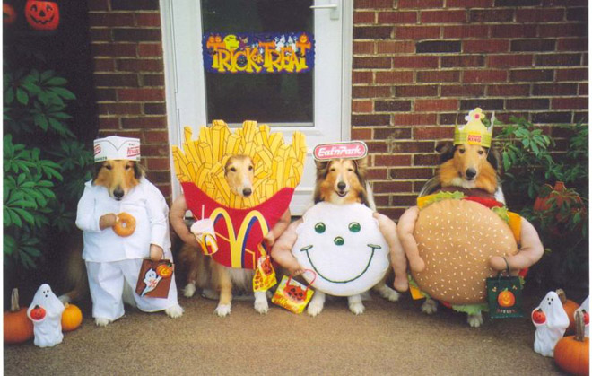 halloween funny dog costume