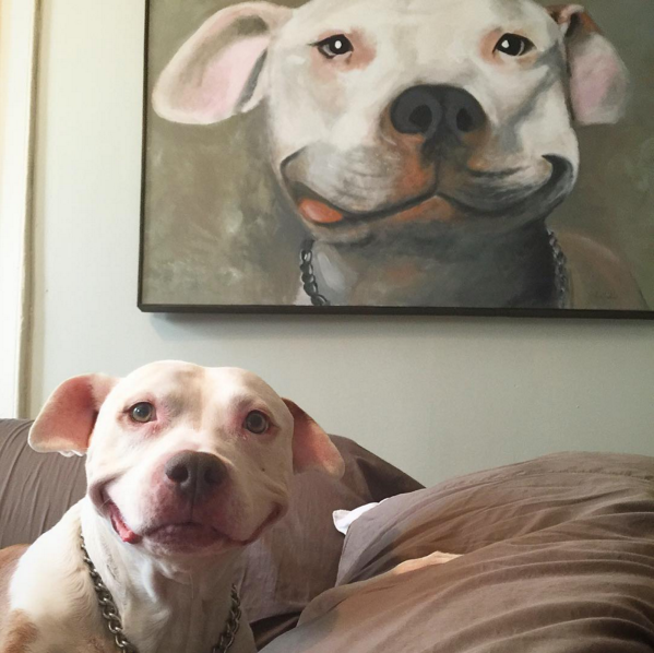 funny dog smiling