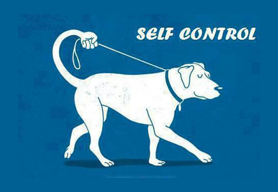 creative ad funny dog self control