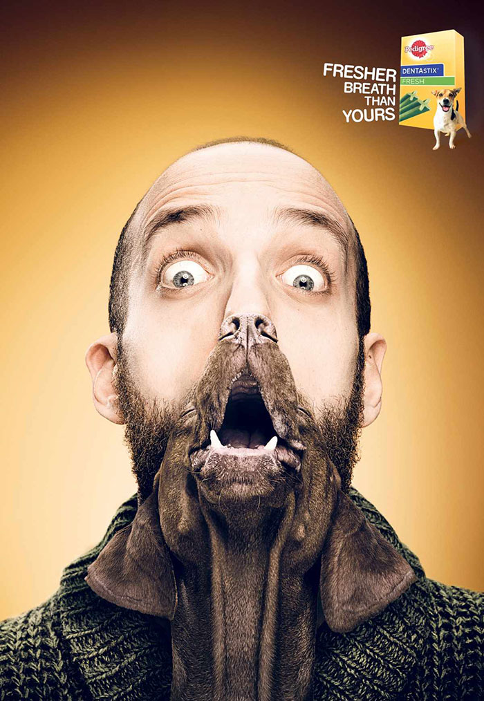 funny ads with animal