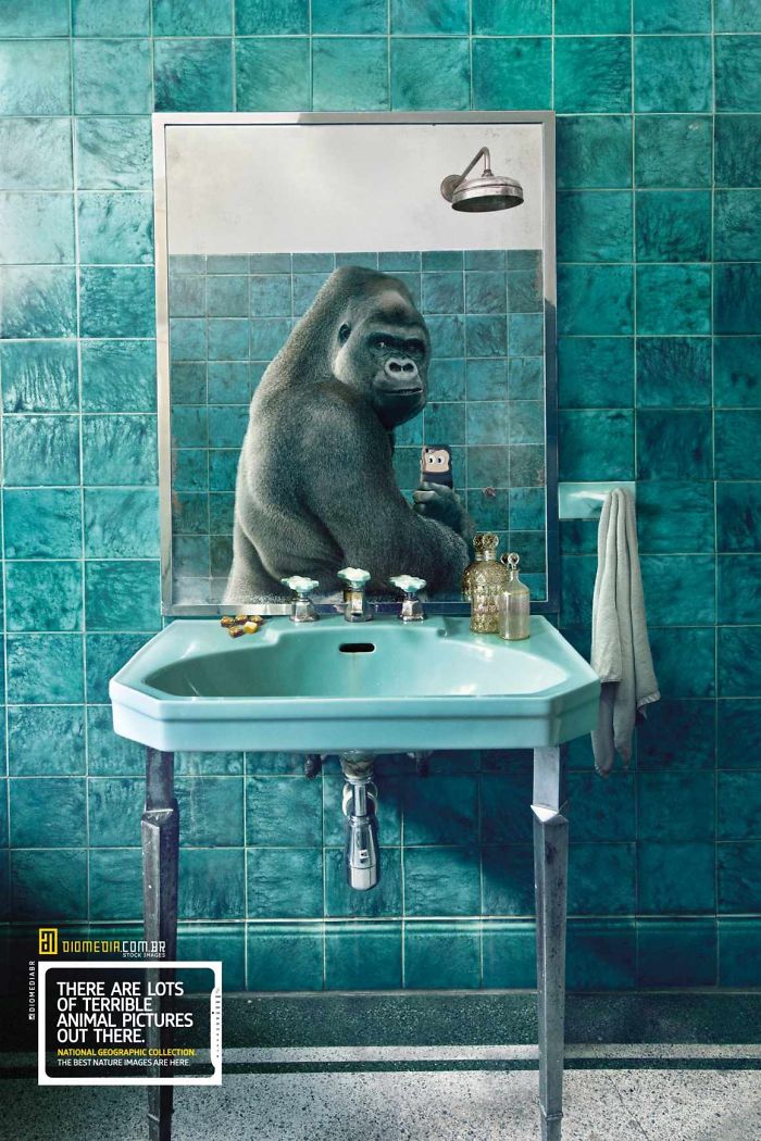 funny ads with animals