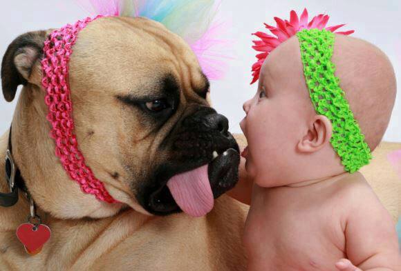 dog and baby funny
