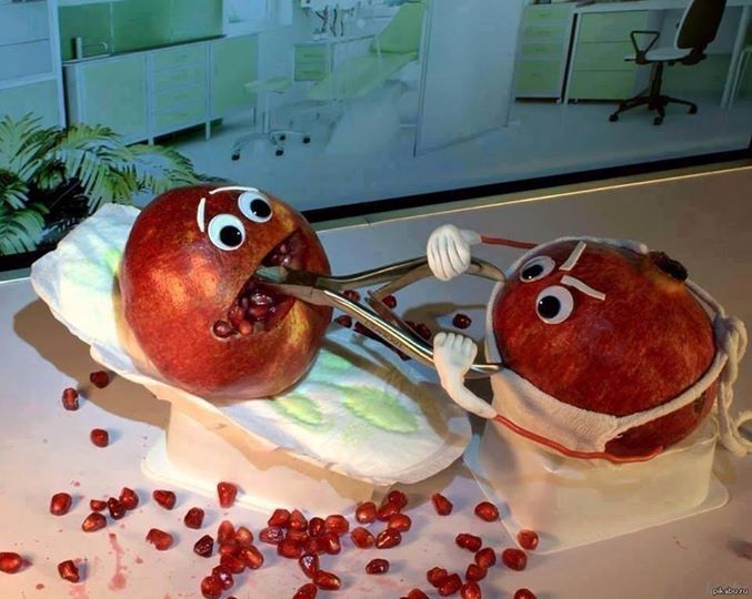 funny dentist pomegranate