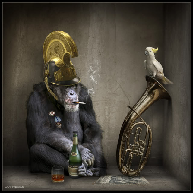 funny paintings monkey bird art farzana malik