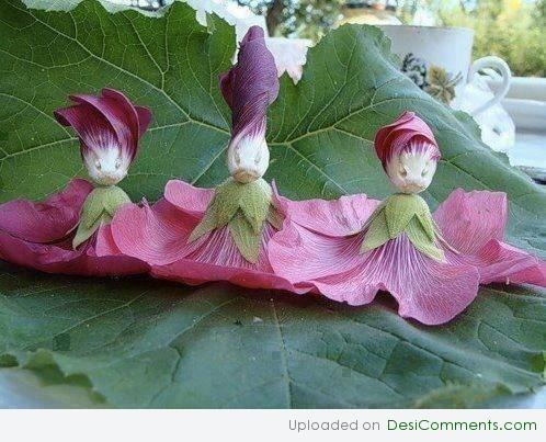 Amazing Weird Flowers