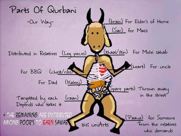 funny parts of qurbani