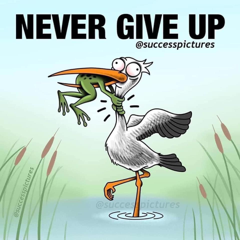 funny quote never give up