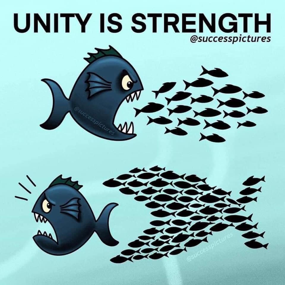 funny quote unity is strength