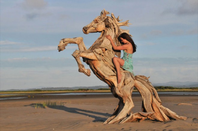 amazing driftwood sculptures
